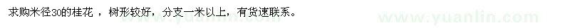 求購米徑30的桂花 