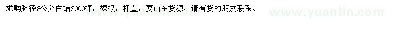 求購(gòu)胸徑8公分白蠟3000棵