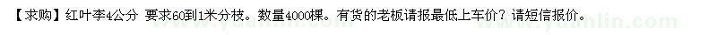 求購紅葉李4公分 要求60到1米分枝