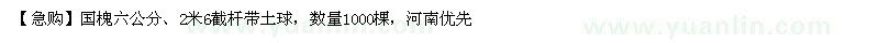 求購國槐六公分、2米6截桿帶土球