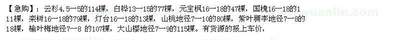 求購云杉，白樺，元寶楓，國槐