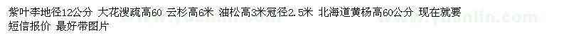 求購紫葉李、大花溲疏、云杉