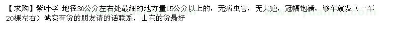 求購紫葉李 地徑30公分左右處最細的地方量15公分以上的