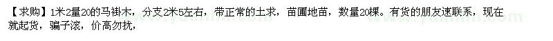 求購1米2量20的馬褂木