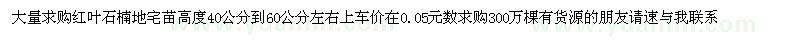 求購紅葉石楠地宅苗高度40公分到60公分左右 