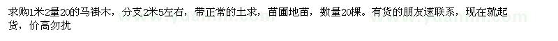 求購1米2量20的馬褂木