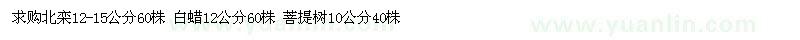 求購北欒 白蠟 菩提樹