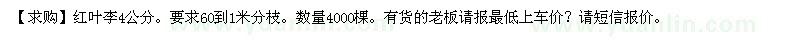 求購紅葉李4公分。要求60到1米分枝