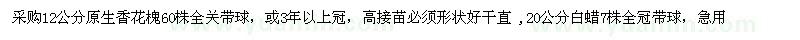 求購12公分原生香花槐60株