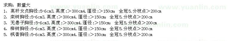 求購高桿女貞、欒樹、無患子、櫸樹等苗木