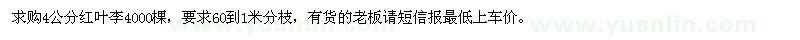 求購(gòu)4公分紅葉李