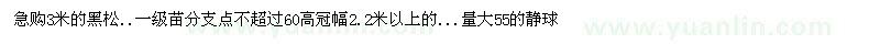求購黑松
