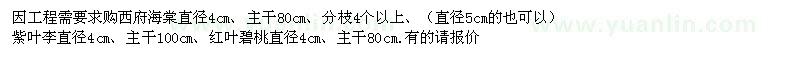 求購西府海棠 