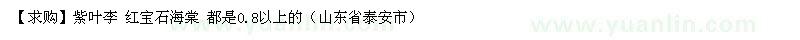 求購紫葉李 紅寶石海棠