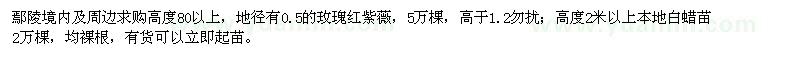 求購高度80以上，地徑有0.5的玫瑰紅紫薇 