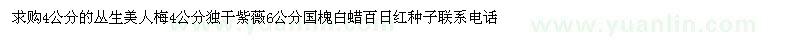 求購4公分叢生美人梅 