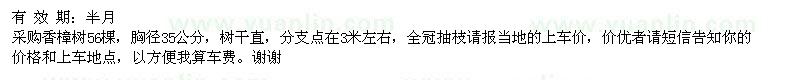 求購香樟樹56棵