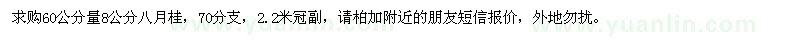 求購(gòu)60公分量4公分8公分八月桂 