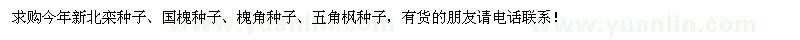 求購新北欒、國槐、槐角、五角楓種子