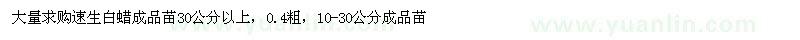 求購速生白蠟