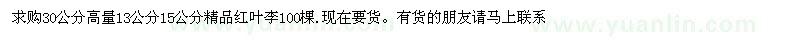 求購13公分15公分精品紅葉李