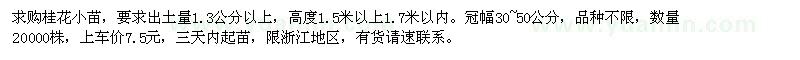 求購桂花小苗