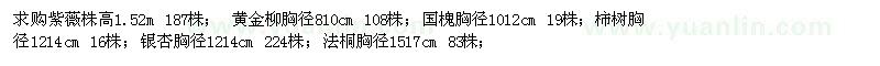 求購(gòu)紫薇、黃金柳、國(guó)槐、柿樹(shù)、銀杏、法桐