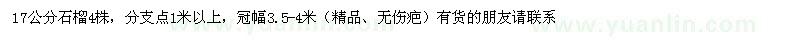求購17公分石榴4株，分支點(diǎn)1米以上，冠幅3.5-4米 