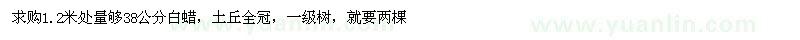 求購(gòu)白蠟 