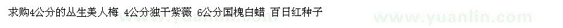 求購叢生美人梅 獨(dú)干紫薇 國槐白蠟 