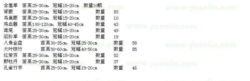 求購(gòu)含羞草、腎蕨、鳥(niǎo)巢蕨、雞血藤等