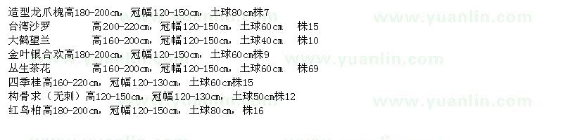 求購造型龍爪槐、臺(tái)灣沙羅、大鶴望蘭