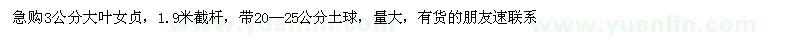 求購3公分大葉女貞