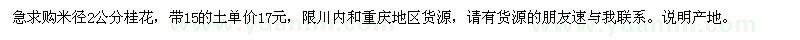 求購米徑2公分桂花