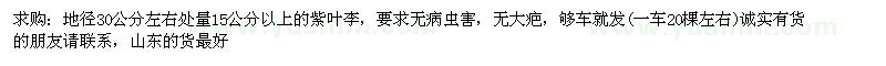 求購15公分以上的紫葉李