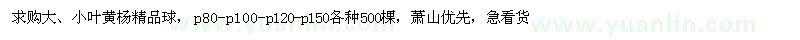 求購(gòu)大、小葉黃楊精品球 