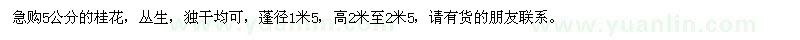 求購5公分的桂花