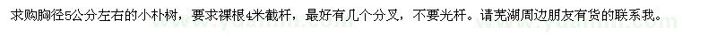 求購胸徑5公分左右的小樸樹 