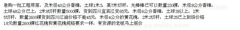 求購香樟、紅花槐、黃花槐