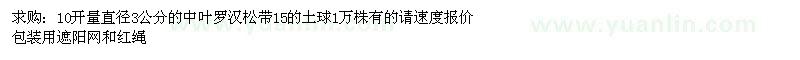 求購(gòu)中葉羅漢松