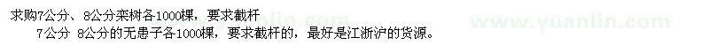 求購(gòu)7公分、8公分欒樹(shù)、7公分 8公分的無(wú)患子