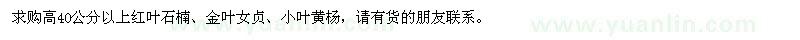 求購紅葉石楠、金葉女貞、小葉黃楊