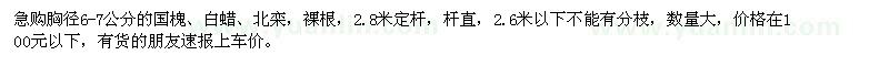 求購胸徑6-7公分的國槐、白蠟、北欒