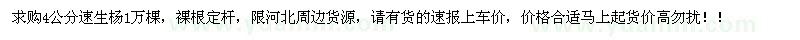求購4公分速生楊1萬棵