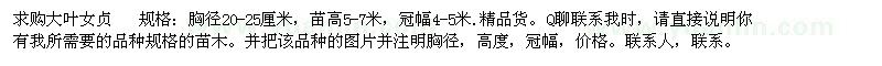 求購(gòu)大葉女貞