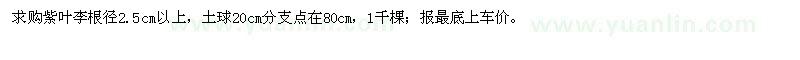 求購紫葉李根徑2.5cm以上