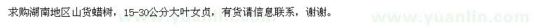 求購大葉女貞
