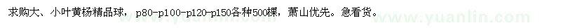 求購大、小葉黃楊精品球