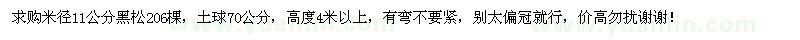 求購米徑11公分黑松206棵