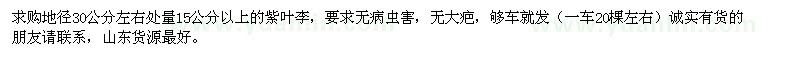 求購(gòu)紫葉李